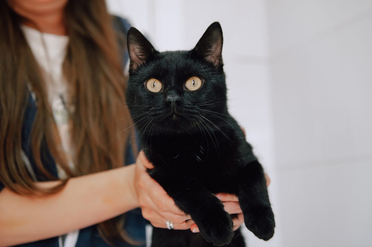 Космос — подопечный фонда «Ника»